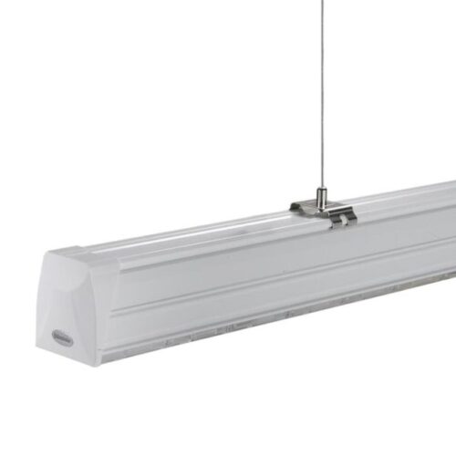 Lichtlijn